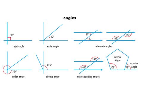 acute angle noun definition pictures pronunciation  usage notes