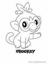 Pokemon Grookey Xcolorings Pokémon sketch template