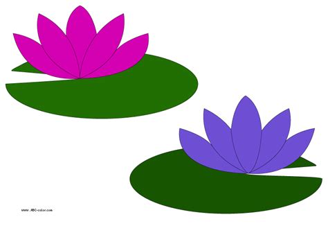 Picture Water Lilies Clipart Best Clipart Best
