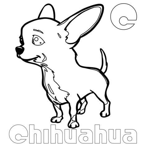 chihuahua coloring pages  coloring pages  kids chihuahua