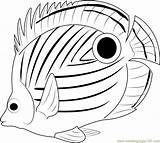 Fish Connect Poisson Relier Coloringpages101 Fishes Worksheet sketch template