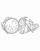 Fruit Dragon Coloring Bat Pages Getcolorings sketch template