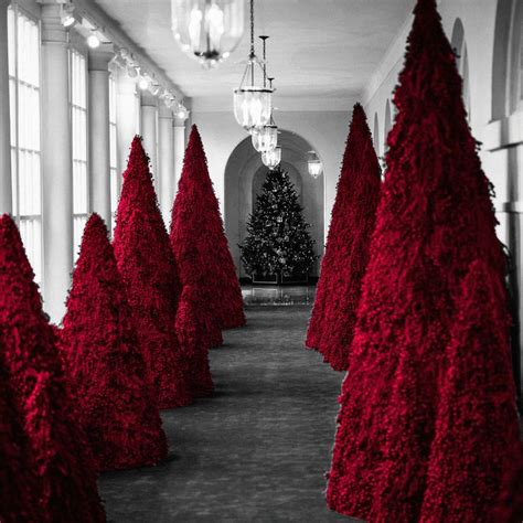 Searching For Meaning In Melania Trump’s Red Christmas Trees