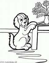 Coloring Table Dog Puppies Pages 676e Trying Begging Printable Comment Leave Color Puppy sketch template