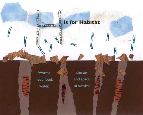 E is for Earthworm: An A - Z Guide | Models of Excellence