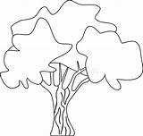 Tree Deciduous Stylized Coloring Cartoon Dreamstime Illustrations Vectors Clipart Stock sketch template
