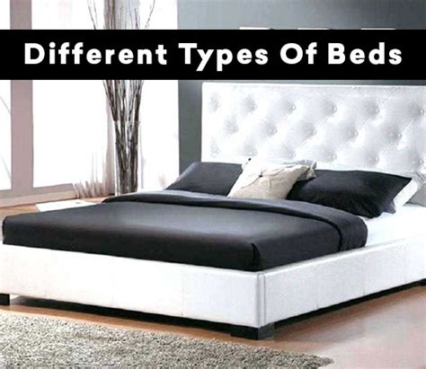 types  beds  ultimate guide cashkaro blog