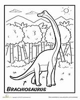 Brachiosaurus Dinosaur Colouring sketch template