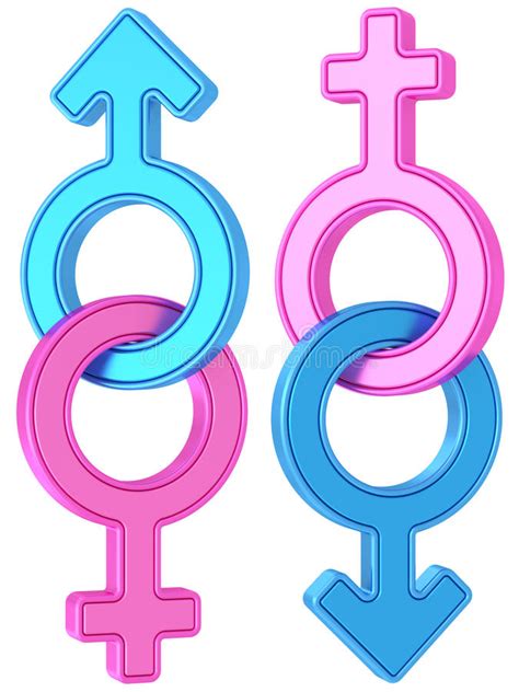 male and female gender symbols of blue and pink colors on white stock illustration