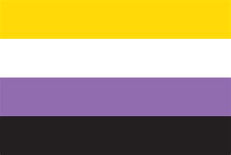 gender  binary  flag flag matrix