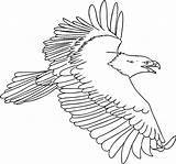 Eagle Coloring Harpy Pages Flying Animal Amazing sketch template