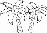 Coconut Coloring Tree Palm Palms Clipart Hawaii sketch template