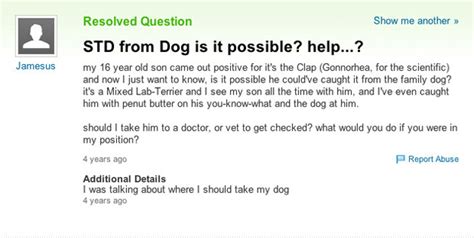 dumbest yahoo questions ever gallery ebaum s world