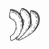 Avocado sketch template