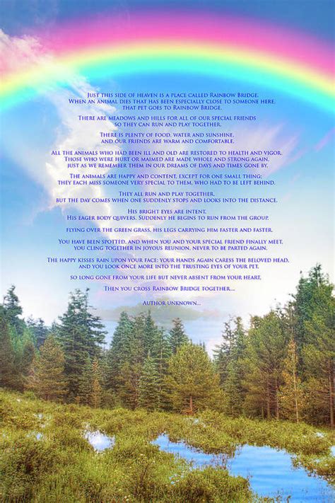 rainbow bridge poem art print  mark andrew thomas