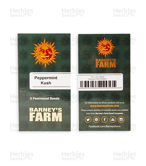 buy peppermint kush feminized seeds by barney s farm herbies
