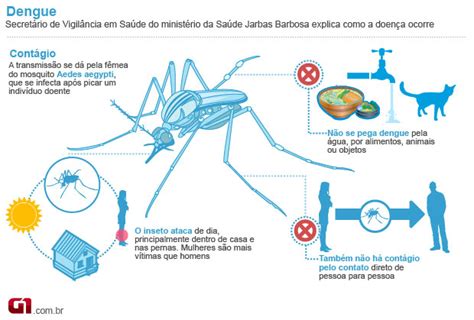 g1 número de mortes por dengue chega a 15 no rio de janeiro