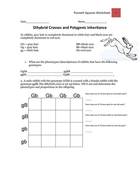 blood type inheritance worksheet
