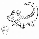 Coloring Paw Crocodile Dog Print Drawing Pages Line Cougar Vector Getcolorings Getdrawings Printable Color Illustration Colorings sketch template