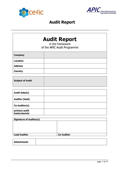 audit report sample malaysia hq template documents