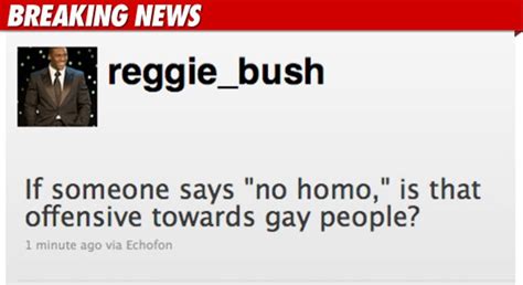 Reggie Bush No Homo