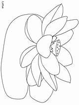 Coloring Flower Pages Lotus India Kids Countries Drawing Flowers Library Clipart Print Colouring Printable Dancer Popular Book Labels sketch template