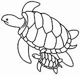 Coloring Turtles Pages Kids Children Print Funny Color Printable Animals Justcolor Nggallery sketch template