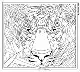 Coloring Pages Printable Complex Ups Grown Print sketch template