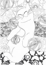 Meerschweinchen Malvorlagen Scribblefun Ausmalbild Katze Animales Ausdrucken Katzen Adultos sketch template