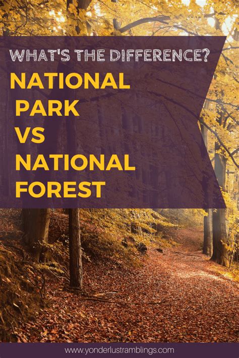 national park  national forest whats  difference