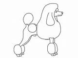 Poodle Printable Drawing Clipart Poodles Drawn Size Library Coloring sketch template