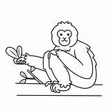Baboon Gibbon sketch template