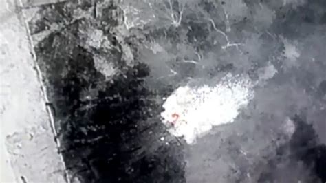 video bombs  ukraine drone attacks russian armored vehicles msr news