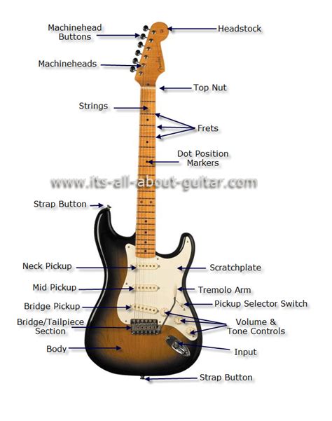 diagram   electric guitar