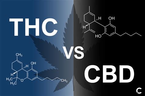 Cbd Vs Thc Whats The Difference Mission C