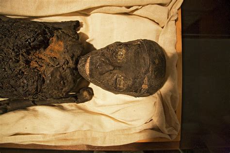 King Tut S Mummy Photograph By Buddy Mays