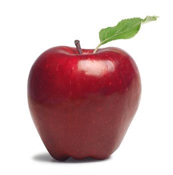 notable calls apple nasdaqaapl    apple