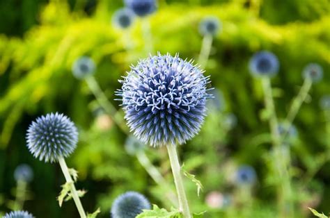 blue  nature color meanings