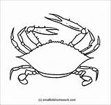 Crab Outline Line Drawing Getdrawings sketch template