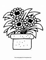 Wildflower Coloring Pages Getcolorings sketch template
