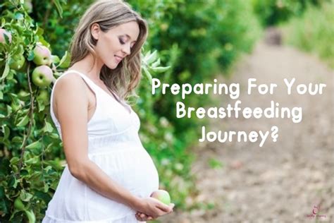 breastfeeding qanda how can pregnant mums prepare for their breastfeeding journey pregnancy in
