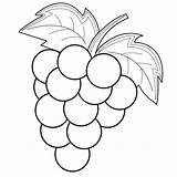 Grapes Coloring Pages Color Printable Getcolorings sketch template