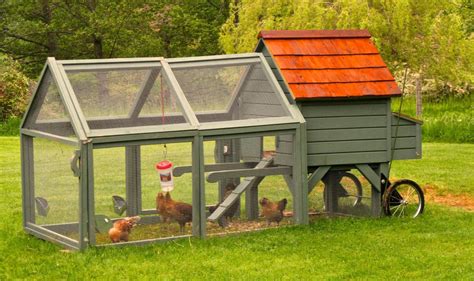 innovative chicken coops  give  yard  chic lehighvalleylivecom