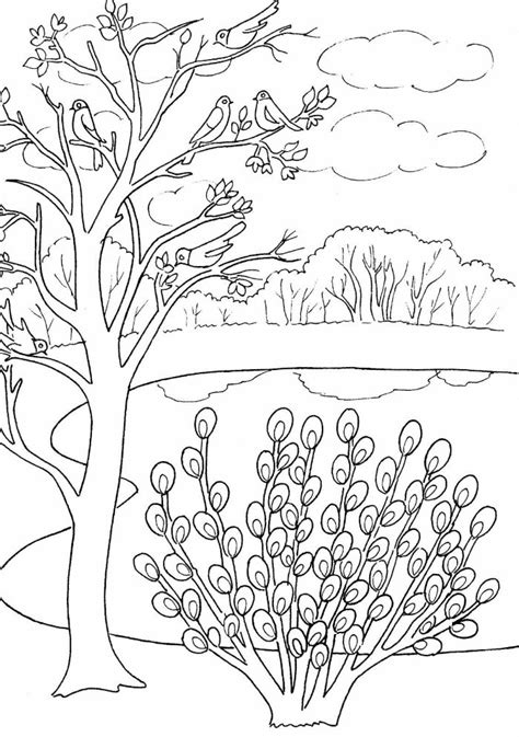 spring coloring pages  entertain  entire family