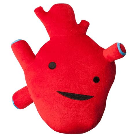 i heart guts plush internal organs soft toy ebay