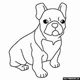 Cachorro Bulldogs Draw Thecolor Soloinfantil sketch template