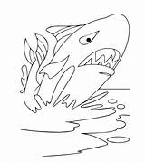Coloring Whale Pages Printable Nemo Toddler Will sketch template