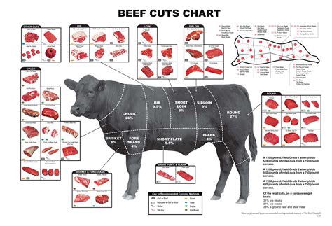 beef cuts farm fresh beef
