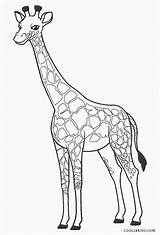 Girafa Giraffe Giraf Ausmalbilder Malvorlagen Topkleurplaat Dieren Desenhar sketch template