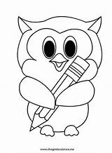Eule Gufetto Matita Chouette Eulen Gufi Preschool Dover Owls Coruja Disegnidacolorare Malvorlagen Publications Sagome Gufo Accoglienza Libri Buho Animalitos Gazo sketch template